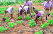 Food, Water & Trees for 8000 Students