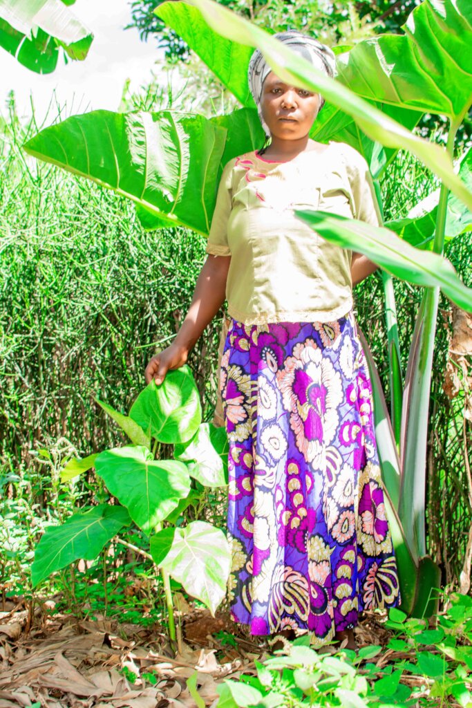 Empower 40 Young Agri-Entrepreneurs in Rwanda