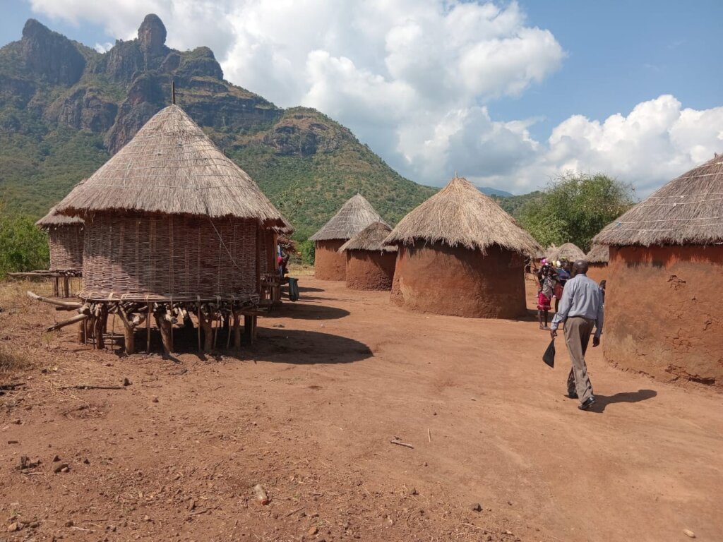 Emergency Food Aid and Nutrition Support for Vulne
