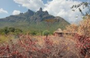 Emergency Food Aid and Nutrition Support for Vulne