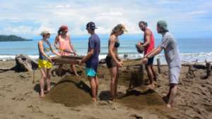 Preparing the beach in 2018