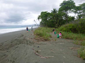 Volunteers cleaning the beach at Rio Oro