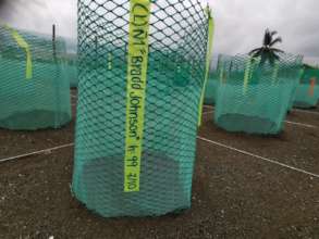 Adopt a nest program