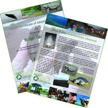 Example of a certificate and fact sheet