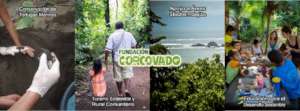 Corcovado Foundation