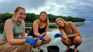 Volunteers releasing baby turtles