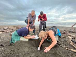 Lets see what is left of this nest