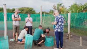 The nursery provides an opportunity for nests