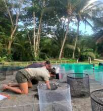 Park officials and volunteers exhumating nests