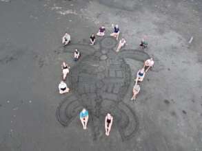 Sea turtle volunteers