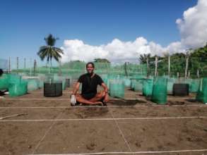 The seaturtle nursery