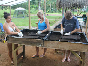 Volunteers planting vegetables