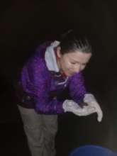 From behind this desk to releasing turtles...great