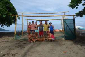 Sea turtle program 1