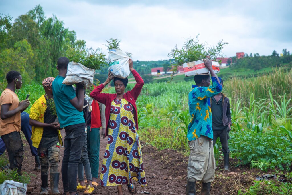 50,000 Trees for 5,000 Families in Rwanda by 2027