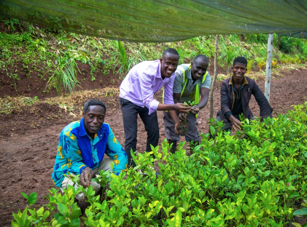 50,000 Trees for 5,000 Families in Rwanda by 2027