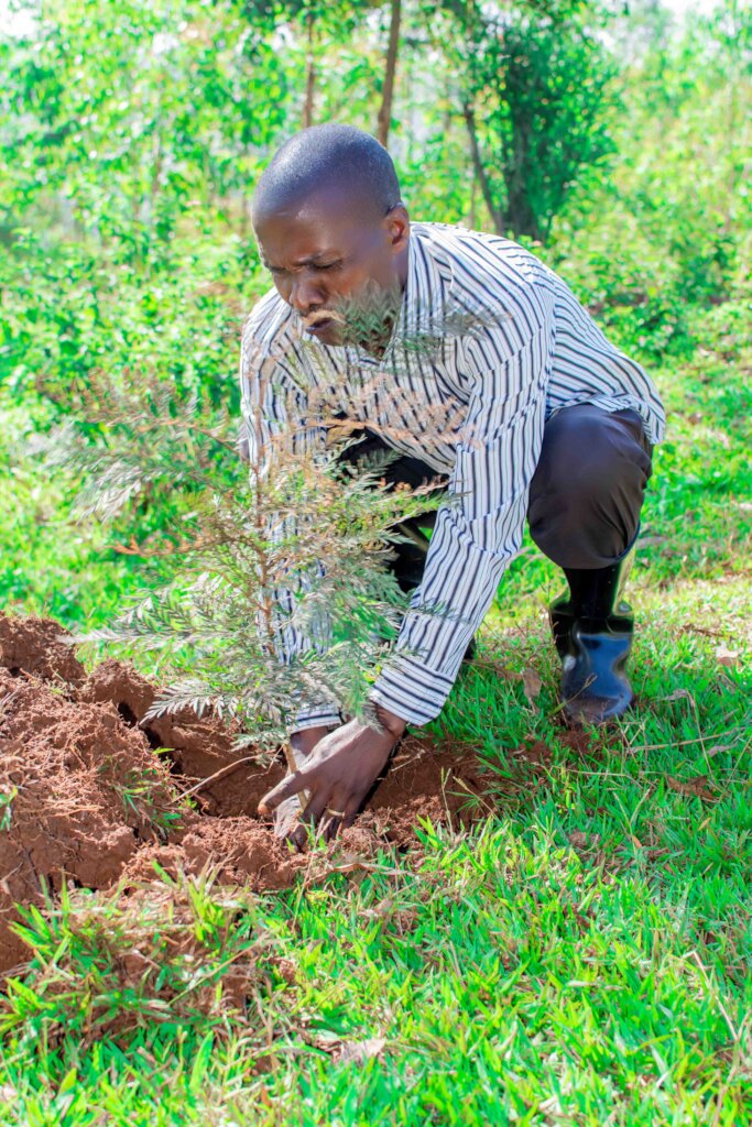 50,000 Trees for 5,000 Families in Rwanda by 2027