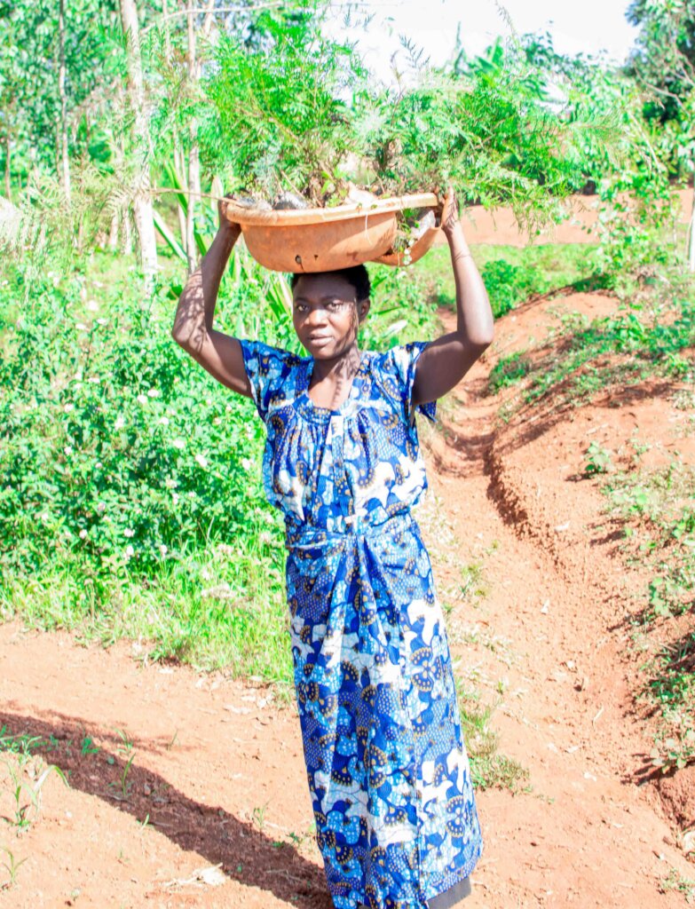 50,000 Trees for 5,000 Families in Rwanda by 2027