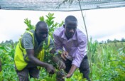 50,000 Trees for 5,000 Families in Rwanda by 2027