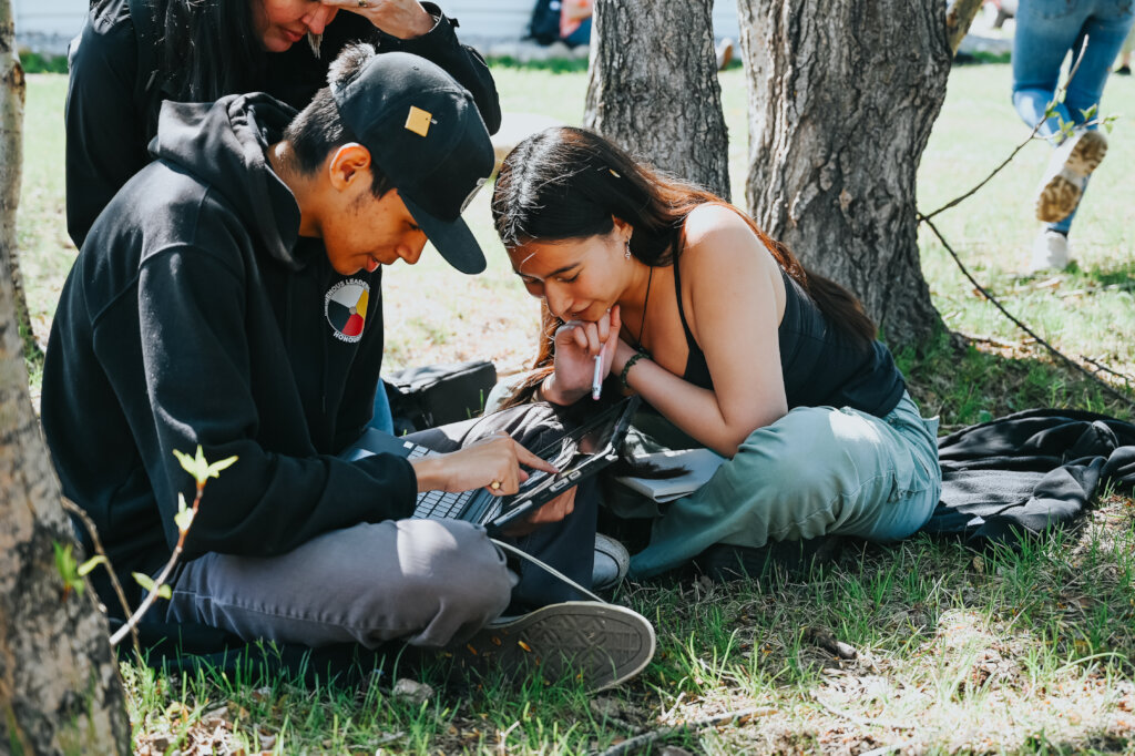Unlocking the infinite potential through STEM
