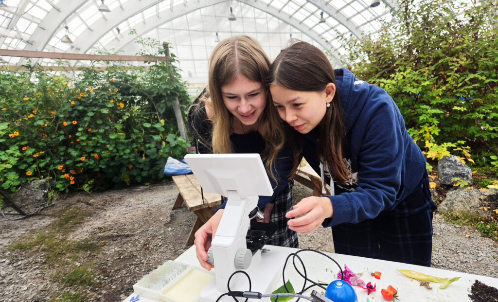 Unlocking the infinite potential through STEM