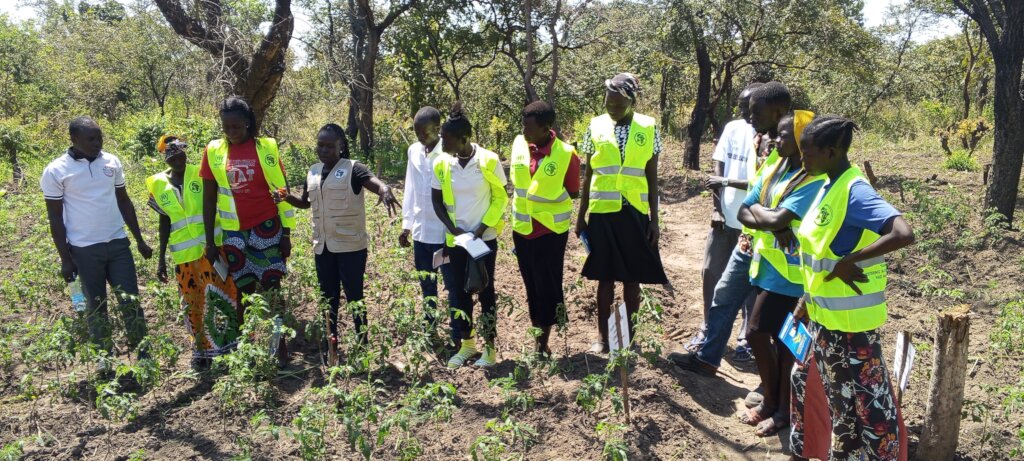 Climate-Smart Livelihoods for Refugee Families