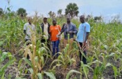 Climate-Smart Livelihoods for Refugee Families
