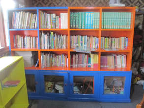 Colorful bookshelves to brighten up our library