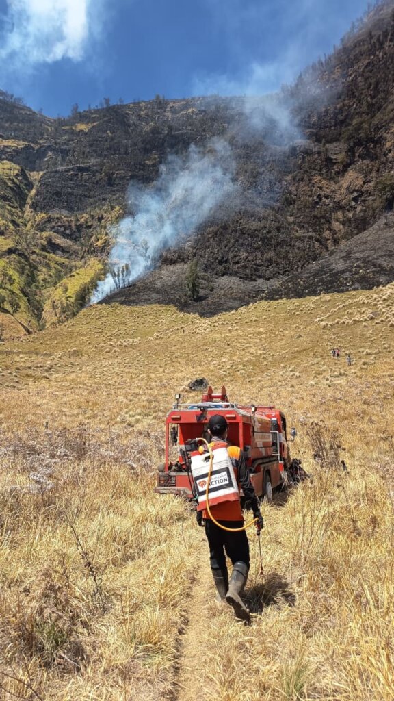 Help Fight Wildfires & Protect Indonesia's Forest