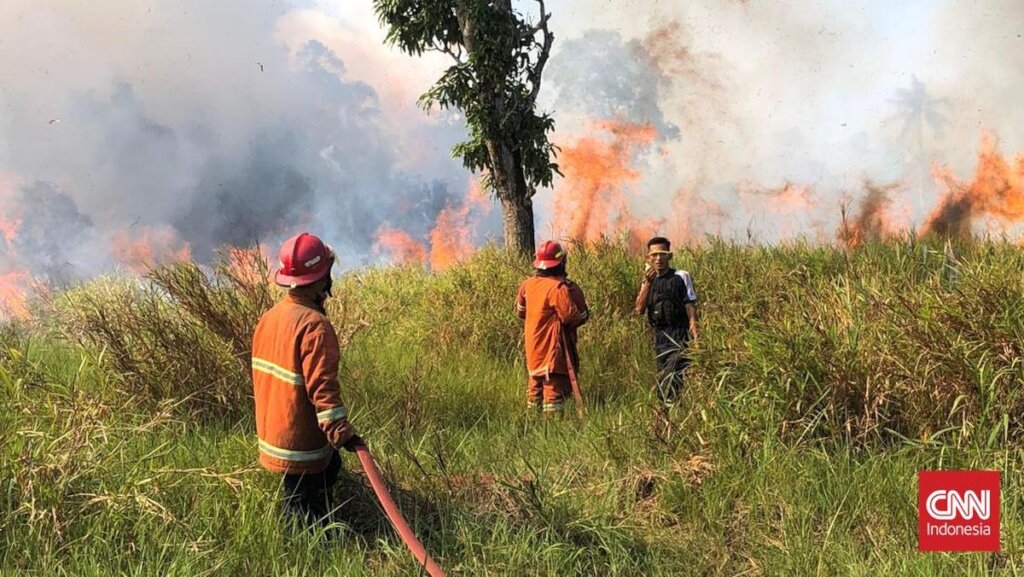 Help Fight Wildfires & Protect Indonesia's Forest
