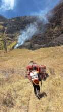 fire
