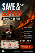 Help Fight Wildfires & Protect Indonesia's Forest