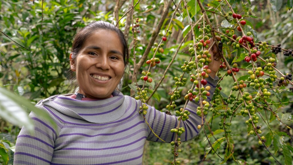 Yungas- Empowering Quechua Women Coffee Farmers
