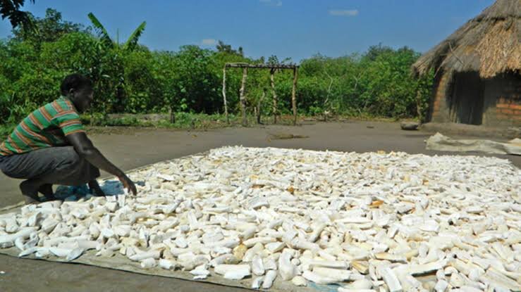 MULTIPURPOSE GRINDING MILL FOR 150VULNERABLE WOMEN
