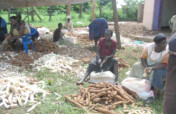 MULTIPURPOSE GRINDING MILL FOR 150VULNERABLE WOMEN