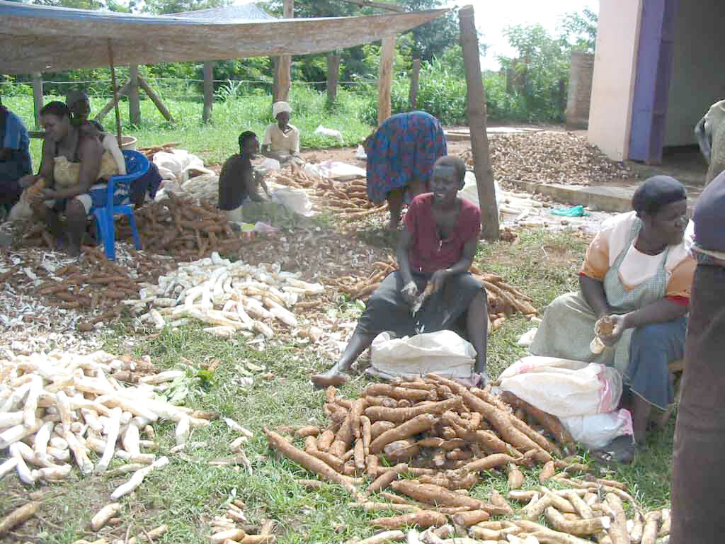 MULTIPURPOSE GRINDING MILL FOR 150VULNERABLE WOMEN