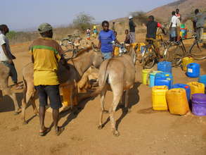 Donkey owners in TZ getting their donkeys checked