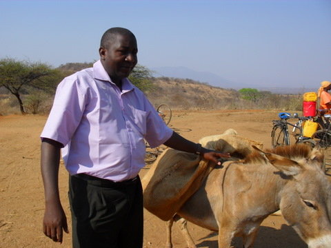 Provide care for horses and donkeys in Africa