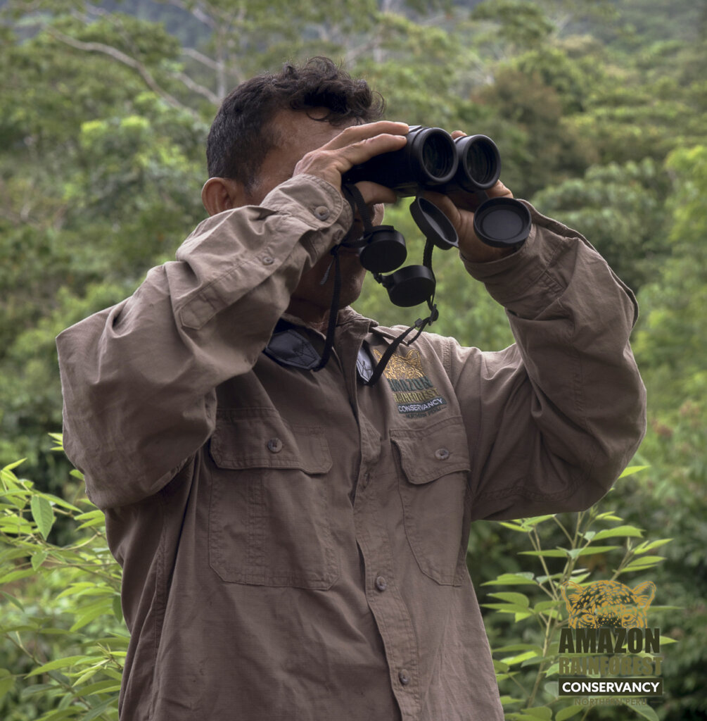 Securing a Wildlife Corridor in the Amazon.