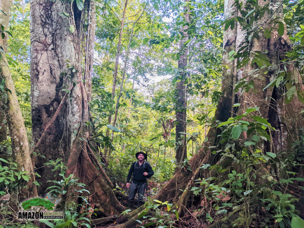 Securing a Wildlife Corridor in the Amazon.
