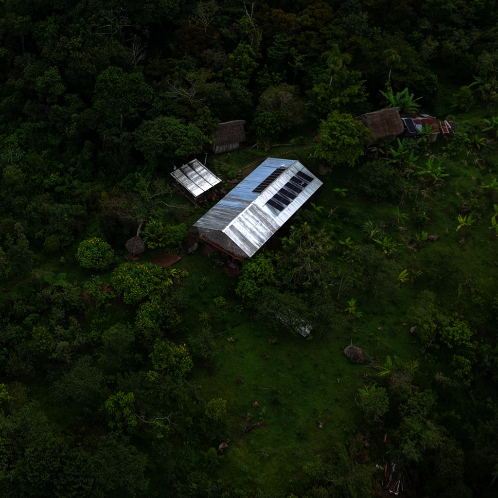 Securing a Wildlife Corridor in the Amazon.