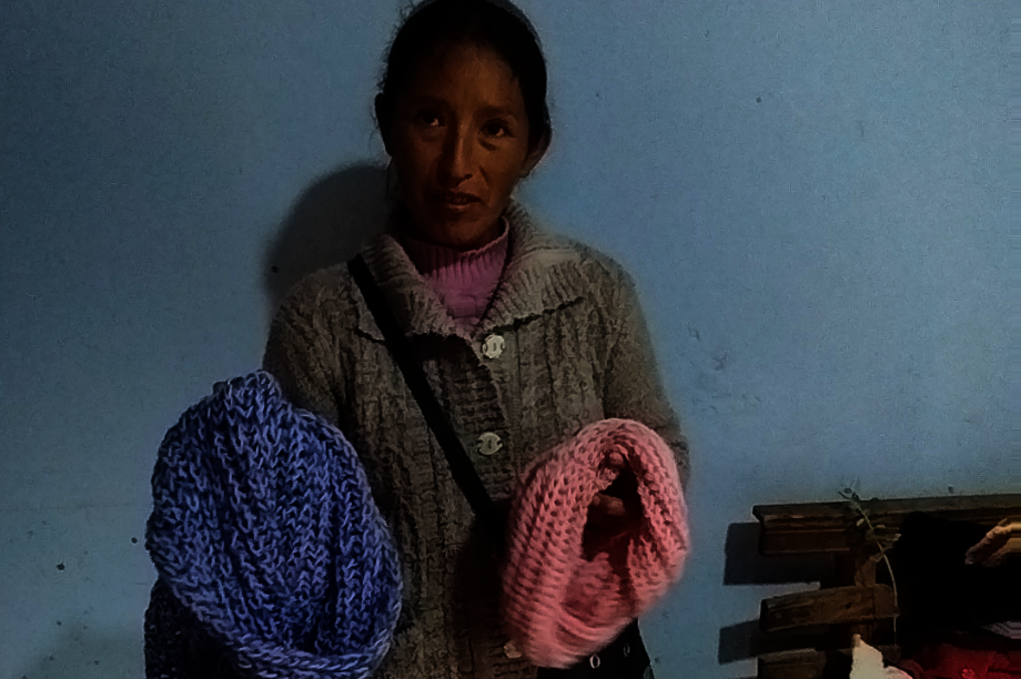 Empower Women in Rural Peru through Livelihoods