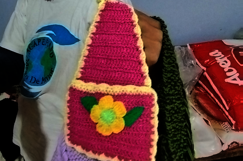 Empower Women in Rural Peru through Livelihoods