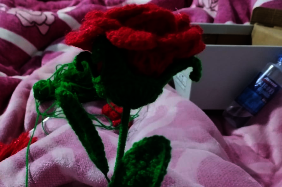 Empower Women in Rural Peru through Livelihoods