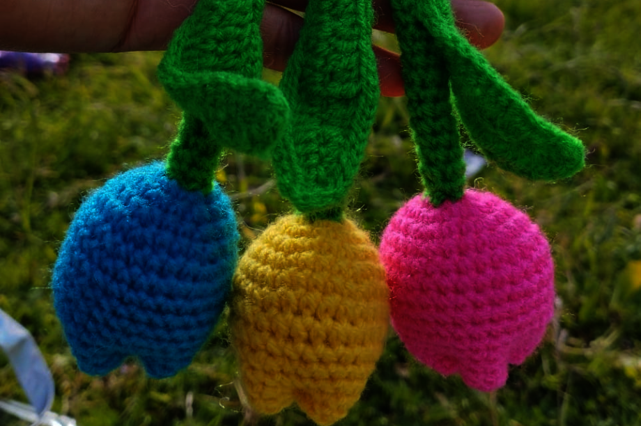 Empower Women in Rural Peru through Livelihoods