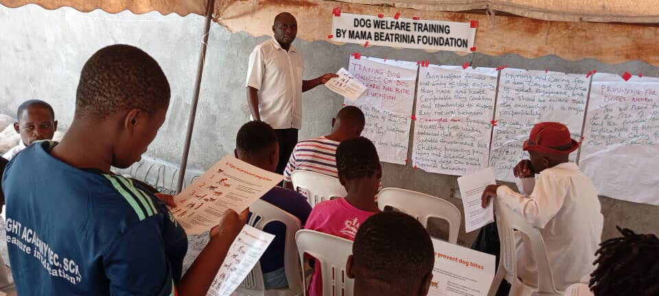 Expanding dog vaccination and welfare education
