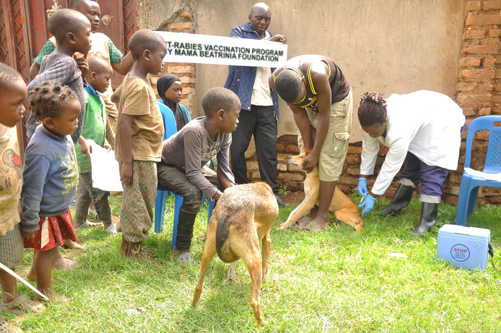 Expanding dog vaccination and welfare education
