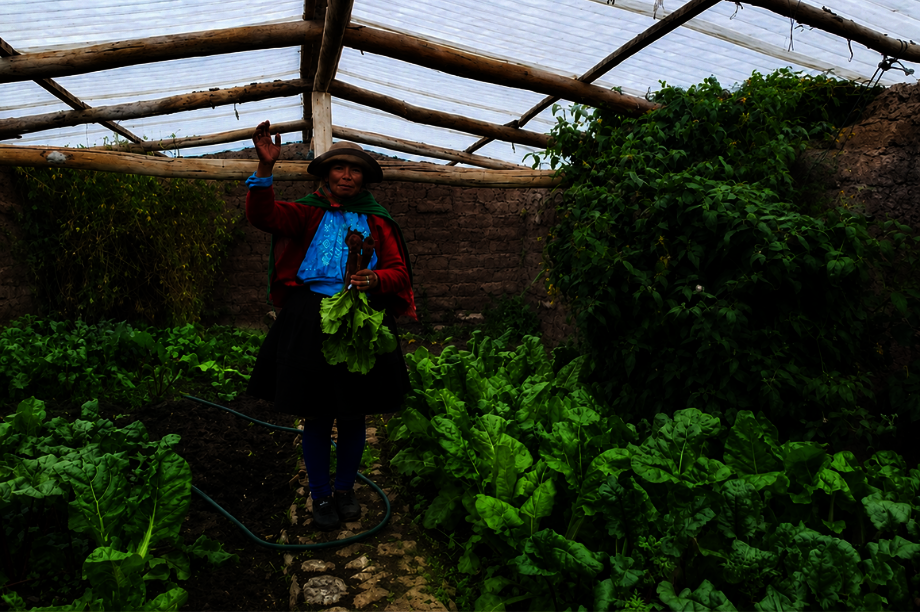 Community Horticulture for Food Security in Peru