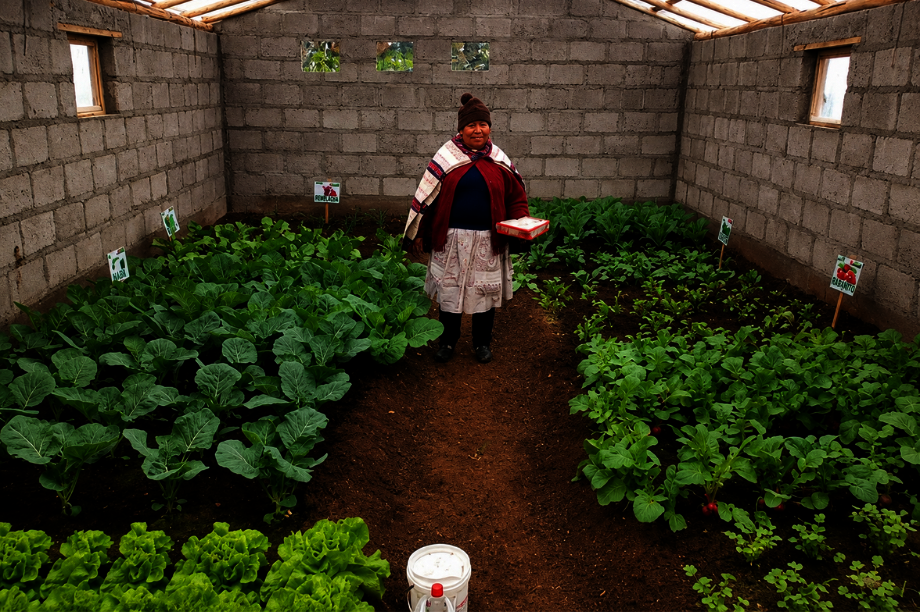 Community Horticulture for Food Security in Peru