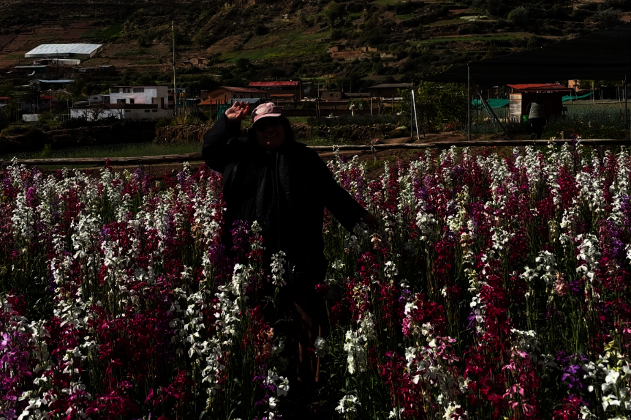 Community Horticulture for Food Security in Peru